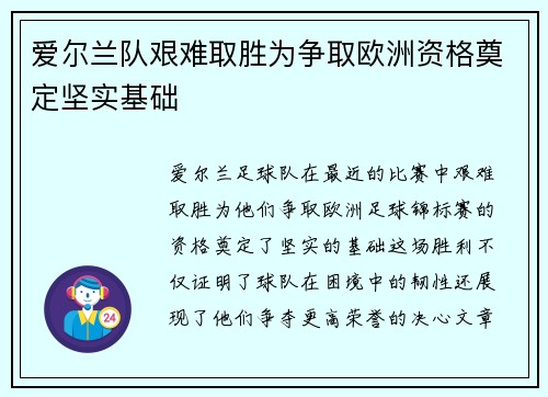 爱尔兰队艰难取胜为争取欧洲资格奠定坚实基础