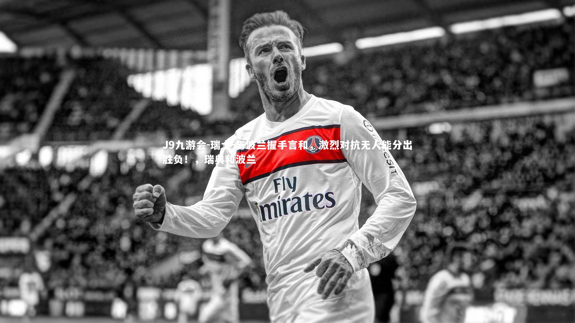 瑞士-与波兰握手言和，激烈对抗无人能分出胜负！，瑞典和波兰