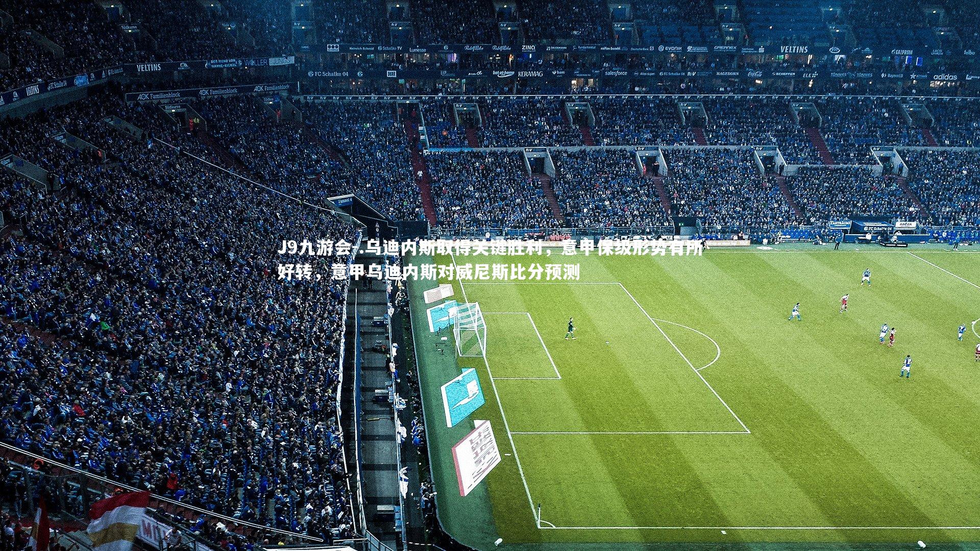 J9九游会-.乌迪内斯取得关键胜利，意甲保级形势有所好转，意甲乌迪内斯对威尼斯比分预测